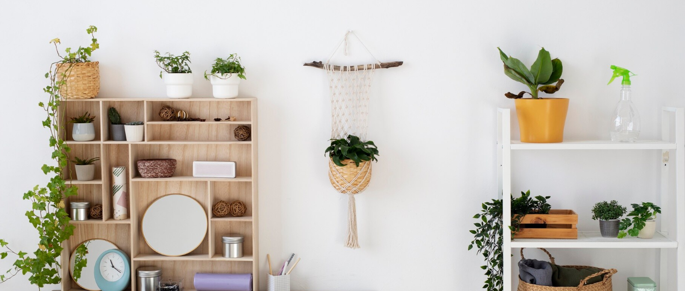 white paint wall with cup boards and plants